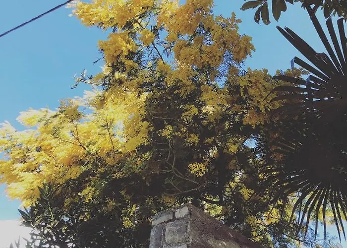 アパート Mypalmassuite With Free Parking In